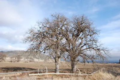 DSC_0025 (Large).JPG